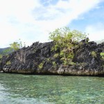 Siete Pecados is the most known and closest snorkeling destination around Coron. The literal meaning of the name Siete Pecados is “Seven Sins”